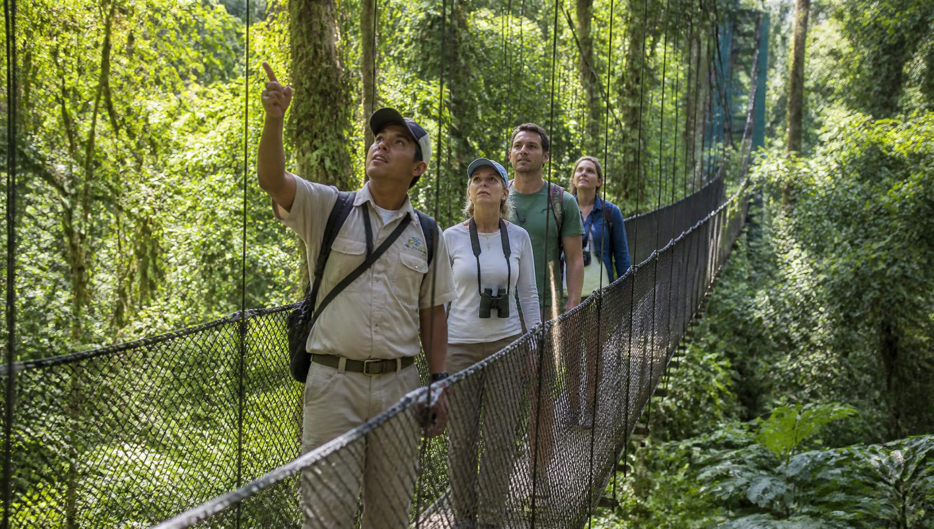 Voyageurs et guide local sur un pont suspendu dans la canopée de la forêt tropicale, Costa Rica
